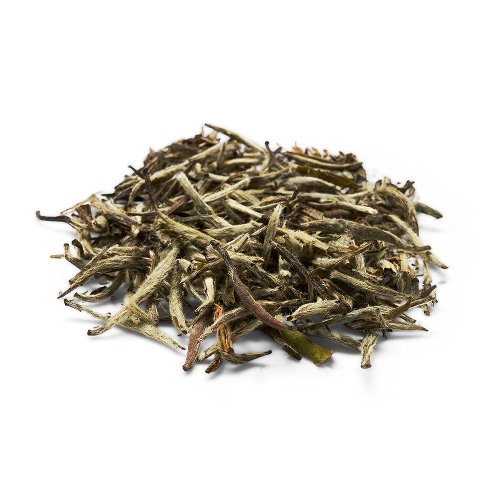 Reserve Dream Doves Silver Needle loose leaf tea leaves by Lot 35