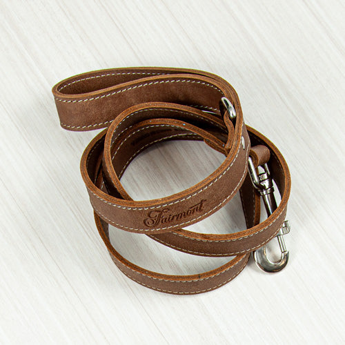 Dog belt shop hotsell