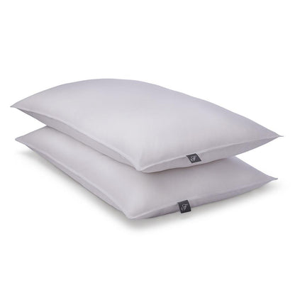 Queen Feather Bedding Bundle