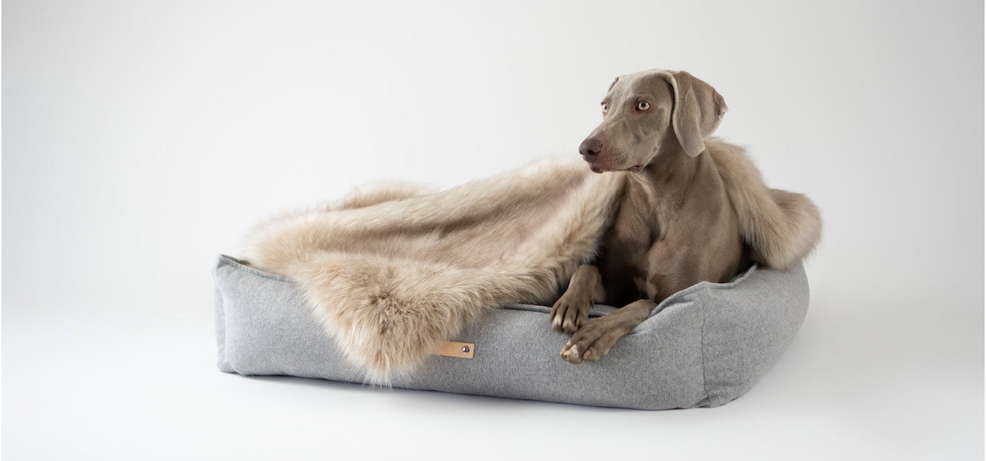 Movik Dog Bed